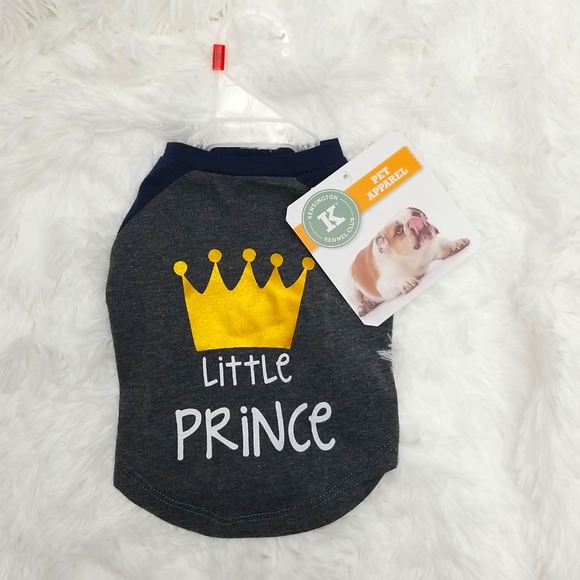 Kengsington Kennel Club Dog Kensington Kennel Club Little Prince